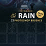 Rain Photoshop Brushes