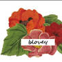flower_png