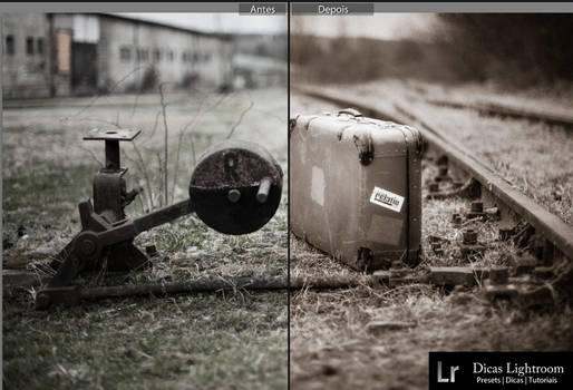 Sepia Preset Lightroom