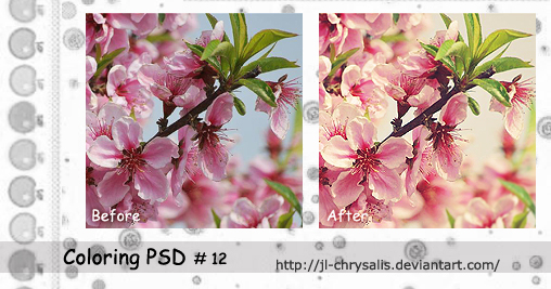 Coloring PSD 12