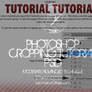 Cropping Tutorial