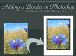 Adding Borders in Photoshop by kuschelirmel-stock