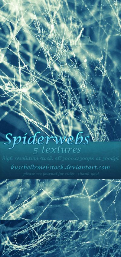 Spiderwebs - Texture Pack