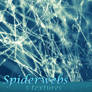 Spiderwebs - Texture Pack