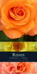 Roses - Stock Pack by kuschelirmel-stock