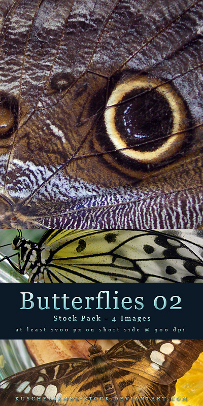 Butterflies 02 - Stock Pack