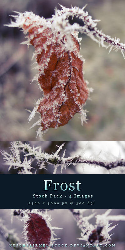 Frost - Stock Pack by kuschelirmel-stock