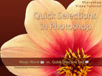 Quick Selections in Photoshop by kuschelirmel-stock