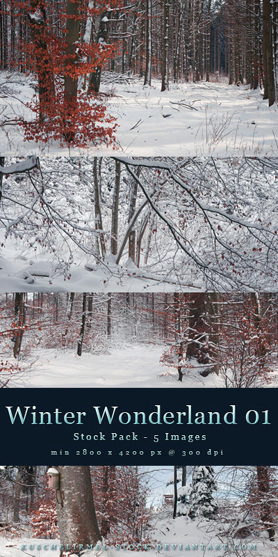 Winter Wonderland 01 - Pack by kuschelirmel-stock