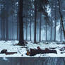 Grim's Forest 02 by kuschelirmel-stock