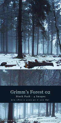 Grim's Forest 02 by kuschelirmel-stock