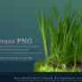 Grass PNG