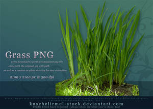 Grass PNG