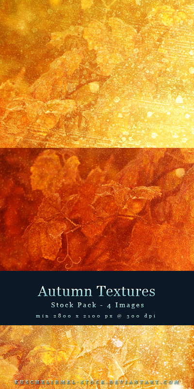 Autumn Textures