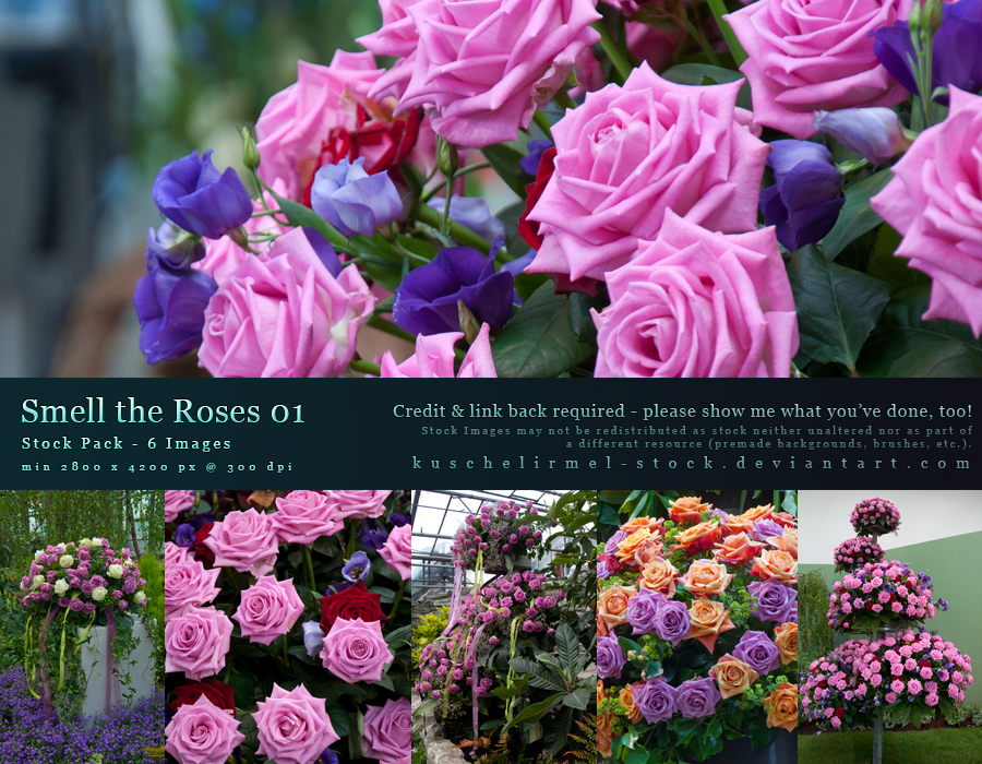 Smell the Roses 01