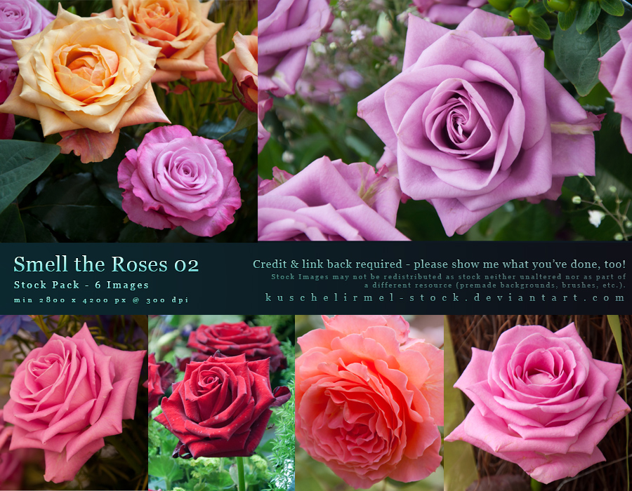 Smell the Roses 02