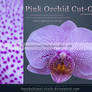 Pink Orchid Cut Out