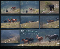 Wild Horses Exclusives by kuschelirmel-stock