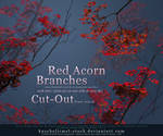 Red Acorn Branches Cut Out by kuschelirmel-stock