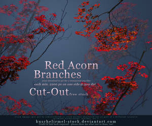 Red Acorn Branches Cut Out by kuschelirmel-stock