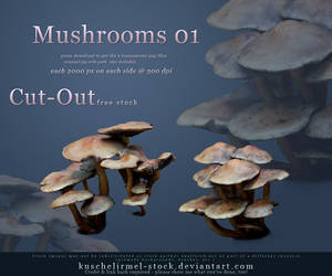 Cut Out Mushrooms Pack 01 by kuschelirmel-stock