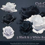 Black and White Roses Precut