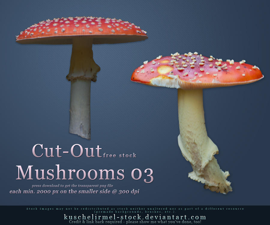 Cut Out Mushrooms Pack 03