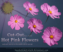 Hot Pink Flowers Cut Out