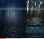 Forest Path Premade by kuschelirmel-stock