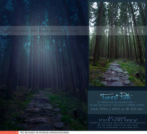 Forest Path Premade