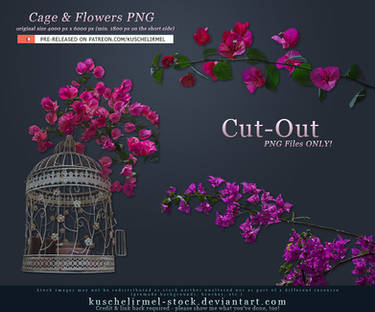 Cage and Flowers Cut-Out PNG
