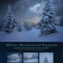 Winter Wonderland Premade with Original Stock