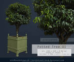 Potted Tree 01 pre-cut Premium Stock by kuschelirmel-stock