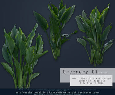 Greenery 01 Pre-Cut Stock