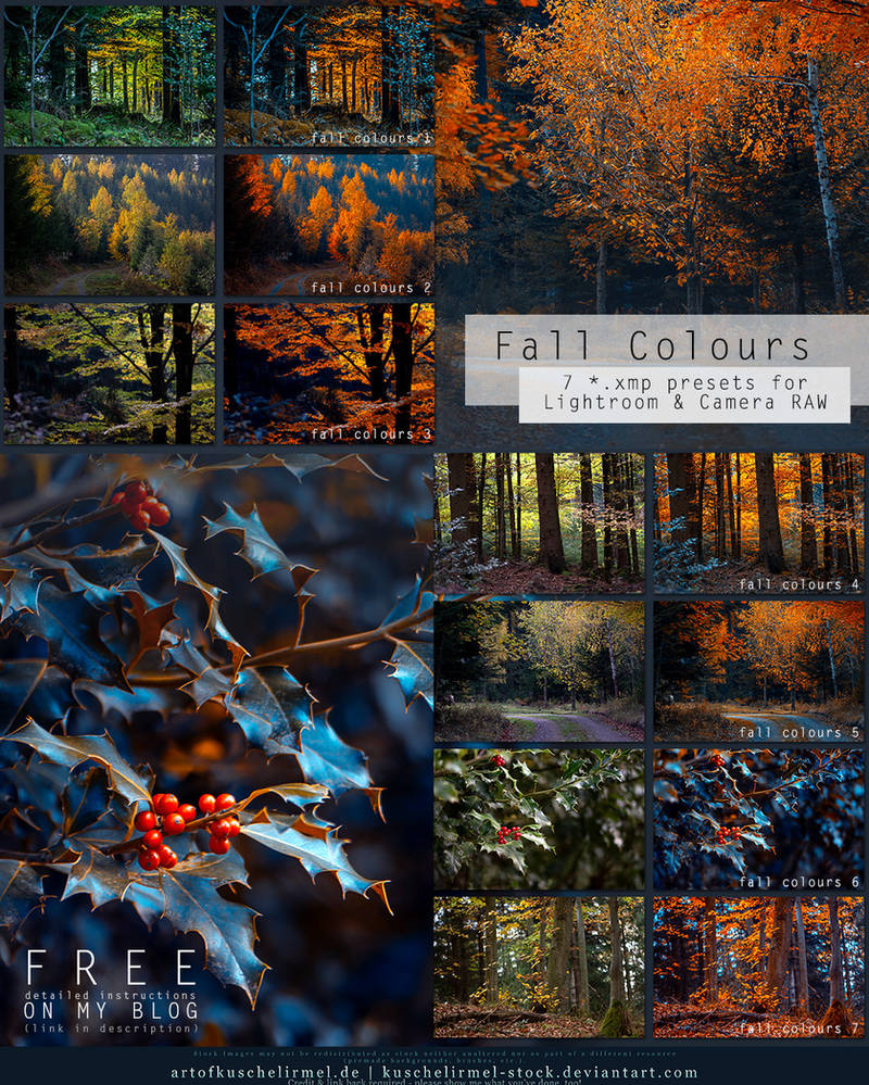 fall colours free lightroom