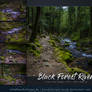 Black Forest River Stock Pack