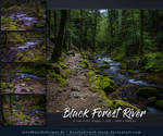 Black Forest River Stock Pack by kuschelirmel-stock