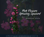 Pink Flowers Growing Upward - Premium cut-out by kuschelirmel-stock
