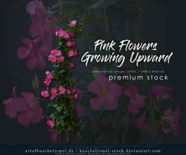 Pink Flowers Growing Upward - Premium cut-out