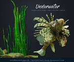 Underwater Cut-Out
