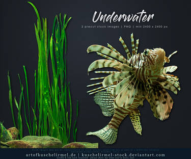 Underwater Cut-Out