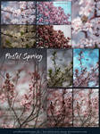 Pastel Spring - Free Lightroom + CameraRAW Presets by kuschelirmel-stock