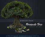 Premade Tree - Premium Stock by kuschelirmel-stock