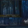 Spooky Forest Background Stock Pack