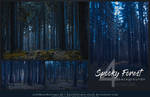Spooky Forest Background Stock Pack by kuschelirmel-stock