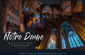 Notre Dame Paris Exclusives