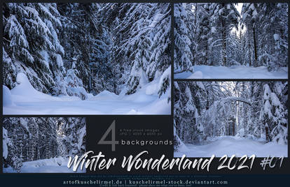Winter Wonderland 2021 - Stock Pack 01