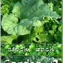 Stock Pack - Garden 2