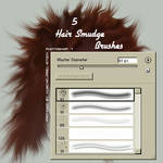 Hair Smudge Brushes