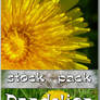 Stock Pack - Dandelion